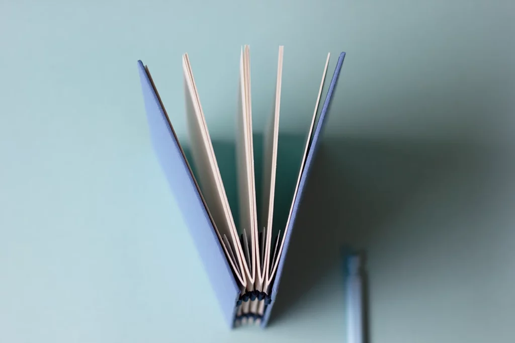 Vue du haut du dos du carnet, positionné à la verticale, montrant les cahiers entrouverts.