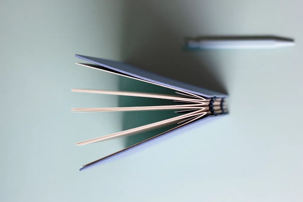 Vue du haut du dos du carnet, positionné à la verticale, montrant les cahiers entrouverts (vue 2).