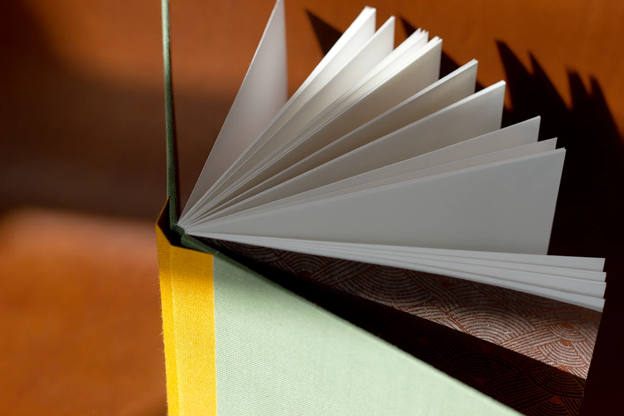 Zoom sur l’ouverture du carnet, reliure Sewn Boards Binding (Gary Frost), toile vert olive et moutarde — Atelier Forme contre forme, Bordeaux — ouvert, vue de dessus.
