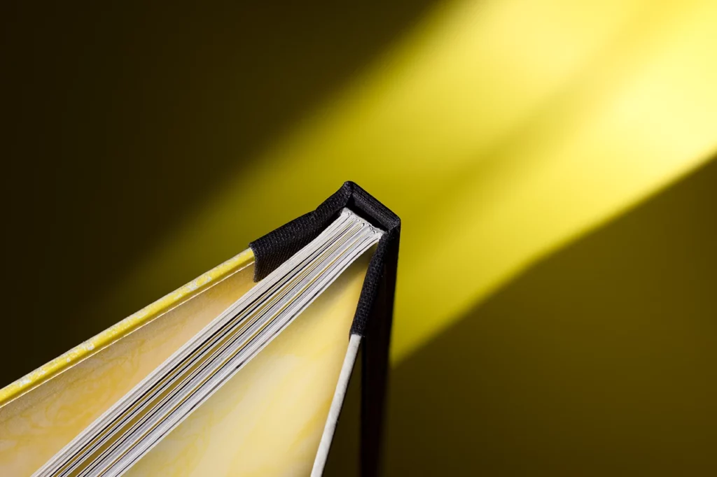 Zoom sur le renforcement du dos pour réparer un livre abîmé — Atelier Forme contre forme, Bordeaux.
