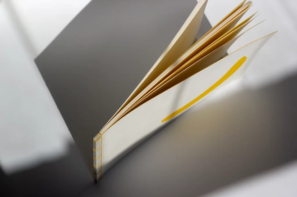 Vue de dessus d’un livre sur mesure en reliure japonaise, couverture avec découpe décorative — Atelier Forme contre forme, Bordeaux.